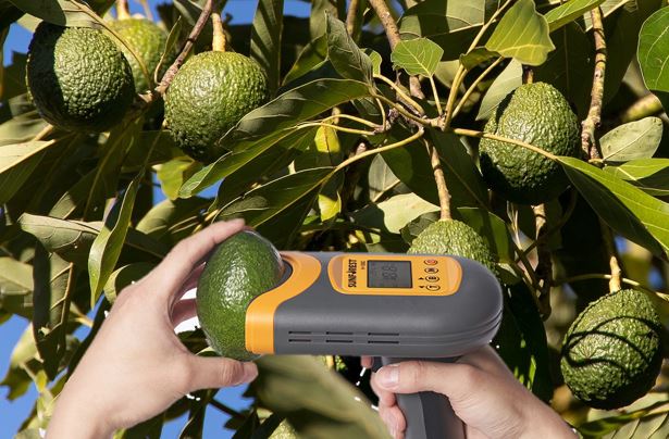 SUNFOREST H-100C Hass Avocado Quality Meter