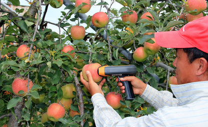 SUNFOREST H-100F Apple and Pear Quality Analyzer