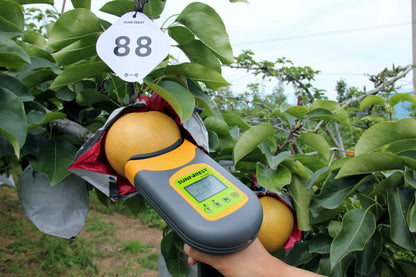 SUNFOREST H-100F Apple and Pear Quality Analyzer